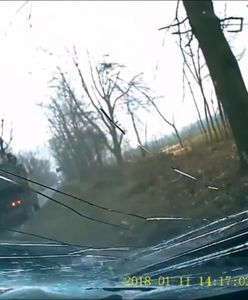 Tafla śniegu rozbija szybę, złoto na złomowisku i wypadki polskich kierowców