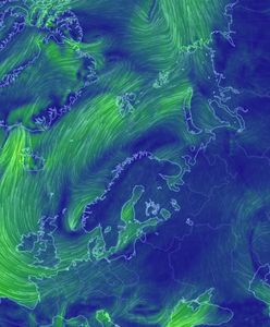 Na Arktyce cieplej niż Polsce. To nie jest dobra wiadomość
