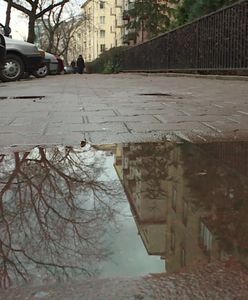 Szumlewicz: Za pobicie 14-latki odpowiedzialny jest minister Błaszczak