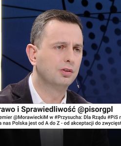 Władysław Kosiniak-Kamysz: rzadko używam takich słów, ale to jest głupota