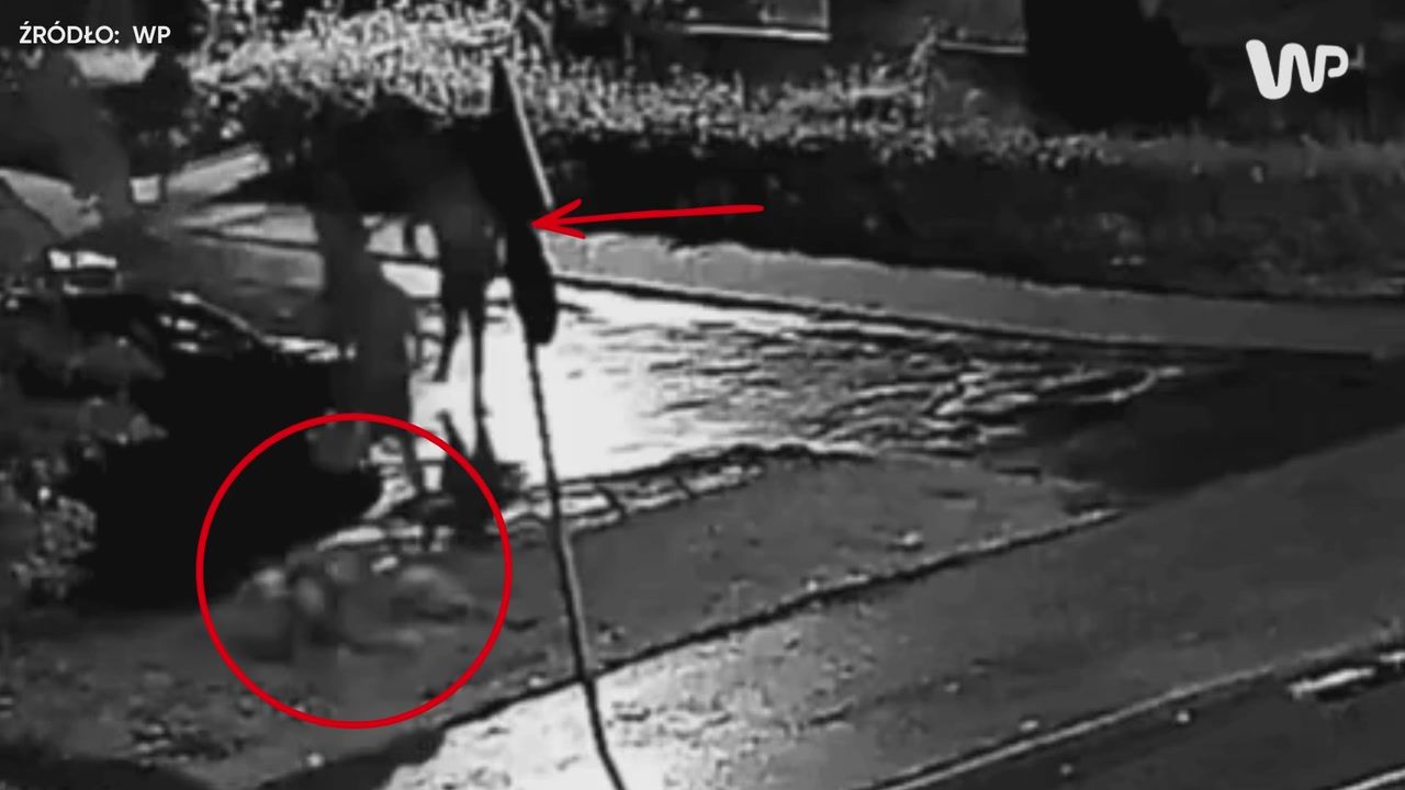 Kraków wstrząsnięty: Brutalne morderstwo kibola – nagranie z linczem na chodniku