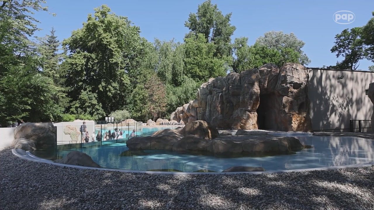 Nowość w stołecznym zoo. "To jedna z najważniejszych inwestycji"
