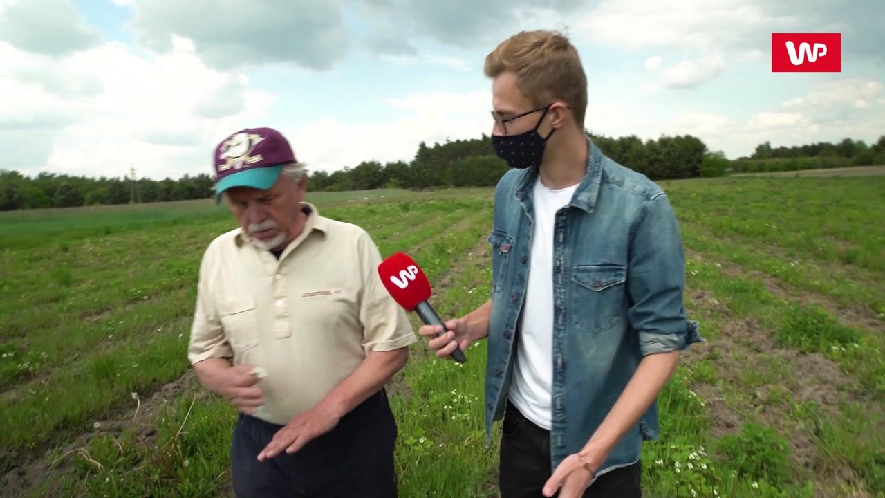 Truskawki od Pana Bogumiła. Odwiedziliśmy wyjątkową plantację