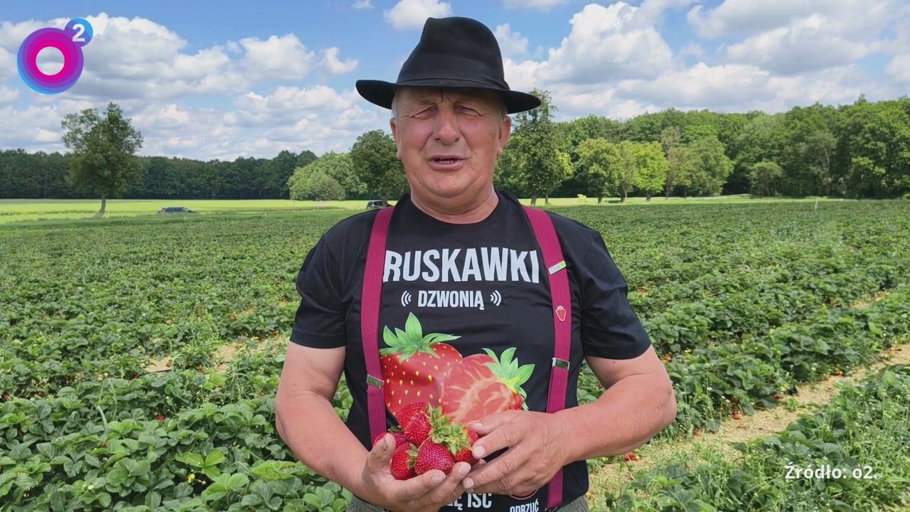 Samozbiory w Boże Ciało. Rolnik nie czeka. "W drodze wyjątku"