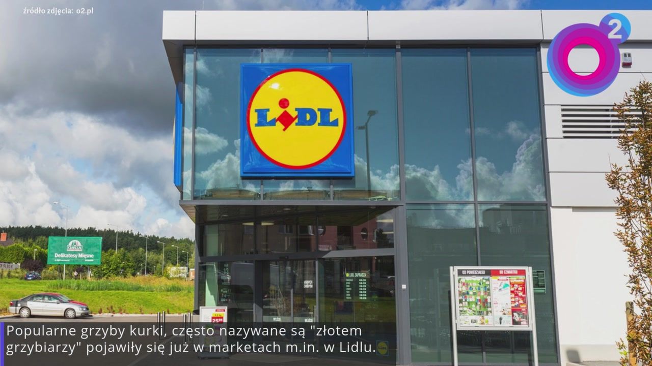 Prawie 140 zł za kilogram. Pojawiły się na półkach w Lidlu