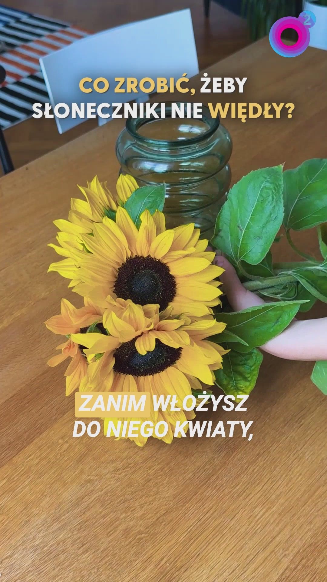 Słoneczniki więdną za szybko? Te patenty przedłużą ich świeżość