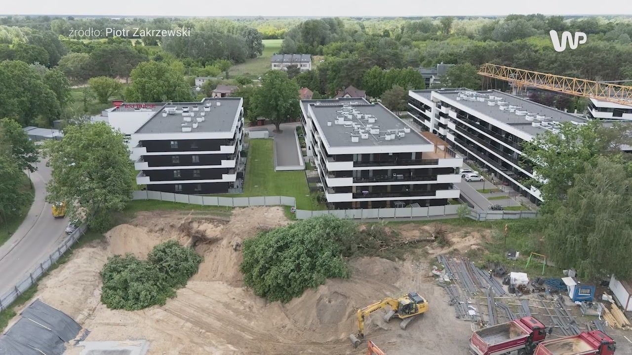 Przewrócił stare dęby koparkami. W gminie wrze. Burmistrz zabrał głos
