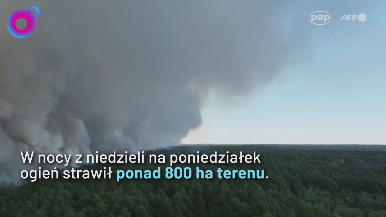 Potężny pożar pod stolicą Francji. Żywioł sparaliżował kolej