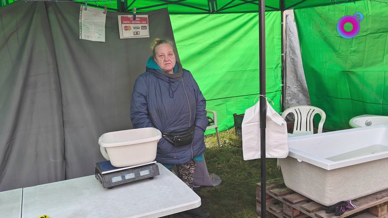 "Sadyzm"? Żywe karpie w wannie. Pokazała zezwolenie