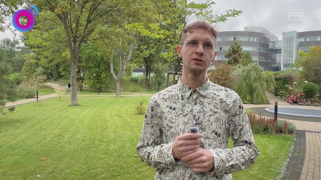 Jesień za pasem, a w Łodzi taki widok. Jest nagranie