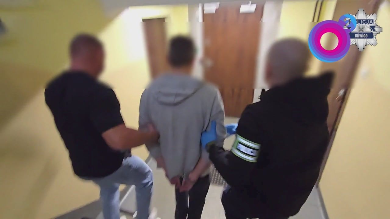 Niemcy go szukali. Wpadł w Gliwicach. 16 fałszywych orzeczeń i 34 tys. zł