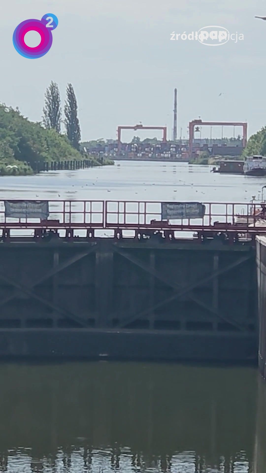 Co dzieje się w Kanale Gliwickim? Nagranie pokazuje niepokojący widok