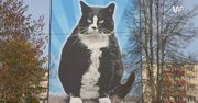O Gacku słyszał cały świat. Odsłonięto mural wyjątkowego kota