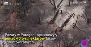 Koszmarne pożary w Patagonii. Poruszające słowa strażaka