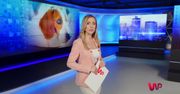 WP News wydanie 27.05, godzina 16:50