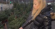 200 złotych za choinkę. "Cen nie zmieniamy"