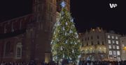 Najpiękniejsza choinka na świecie. Znajduje się w polskim mieście