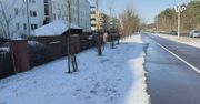 Obudzili się, a za oknem... śnieg