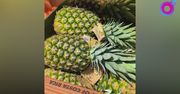 Prosty sposób, jak sprawdzić świeżość ananasa. Wystarczy zrobić to
