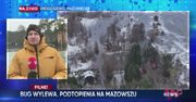 WP News wydanie 31.01, godzina 11:50