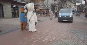 Górale o misiu z Zakopanego. "Dla mnie to jest absurd"