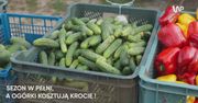 Sezon w pełni, a ogórki kosztują krocie
