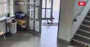 Ciechanów. Nieoczekiwani goście w Urzędzie Miasta. Wszystko nagrał monitoring