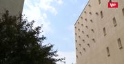 Plaga komarów nad Polską. One są najlepszą bronią na te owady