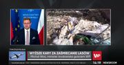 Wycinka w Bieszczadach. "Być może to będzie szok, ale parki narodowe też prowadzą wycinki"