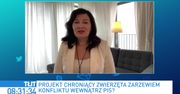"Piątka dla zwierząt". Jarosław Kaczyński z poparciem opozycji? Jest ważna zapowiedź