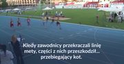 #dziejesiewsporcie: sprinterzy w szoku! Tego na mecie nie spodziewali się