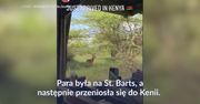 #dziejesiewsporcie: Rajskie wakacje Celii i Grzegorza Krychowiaków