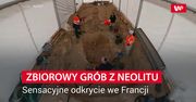 Kopali pod supermarket - odkryli masowy grobowiec