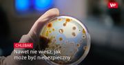 Używamy codziennie. Potężne siedlisko groźnych bakterii