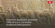 Wykończyła całe imperium. Naukowcy dotąd się mylili