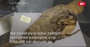 Znaleźli 6 mln mumii sprzed prawie 2,5 tys. lat. Wreszcie poznali ich tajemnicę