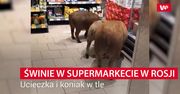 Świnie w supermarkecie w Rosji