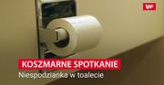 Zajrzał do toalety i zamarł. Już więcej z niej nie skorzysta