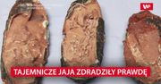 Tajemnicze jaja zdradziły prawdę. Niezwykłe odkrycie w Chinach