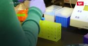 Test wykrywający koronawirusa. Naukowcy intensywnie pracują