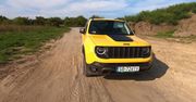 Test Jeepa Renegade'a Trailhawk: blisko do Wranglera