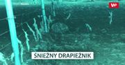 Makabra z zagrodzie. Przerażające, co zastał właściciel