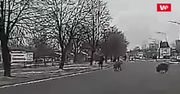Atak dzików. Nagranie z Zawiercia