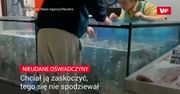 Nieudane oświadczyny. Chciał ją zaskoczyć, tego się nie spodziewał