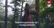 Park Ewolucji. Idealna atrakcja na weekend z dziećmi