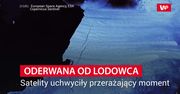 Góra oderwana od lodowca. Satelity uchwyciły przerażający moment