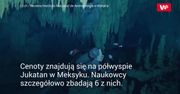 Podwodne skarby Majów. Będą przeczesywać cenoty