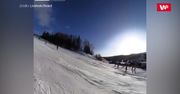 Łoś "narciarz". Nagranie ze stoku podbija Internet