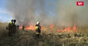 Dramatyczna walka strażaków. Próbują ratować, co się da. "Jest bardzo trudno"