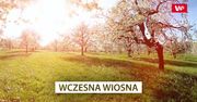 Wczesna wiosna. O tym nie wspominali podczas nauki w szkole